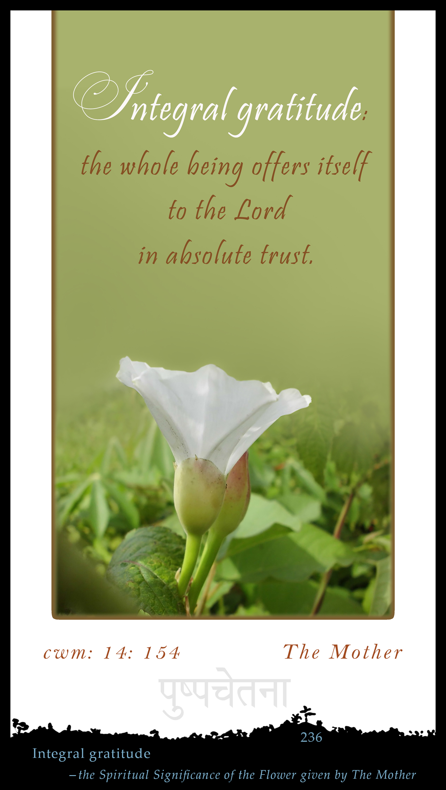 Integral Gratitude